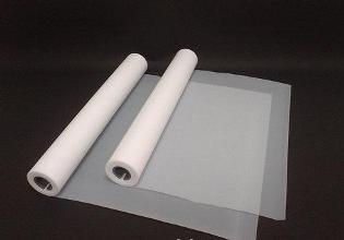 PTFE film