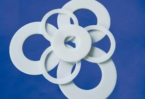 PTFE gasket